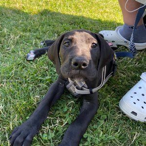 Meet your Posher, Mackenzie